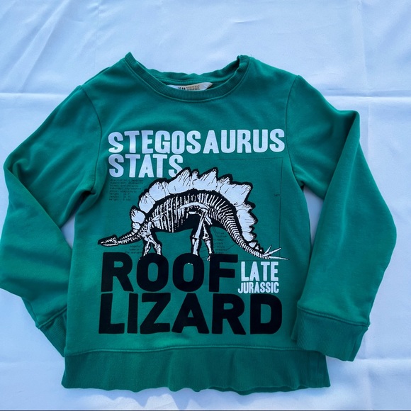 H & M Boys Size 6-8 Green Long Sleeve Dinosaur Graphic Sweater Dino Top - Picture 11 of 11